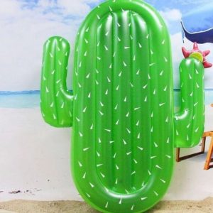 Inflable Cactus